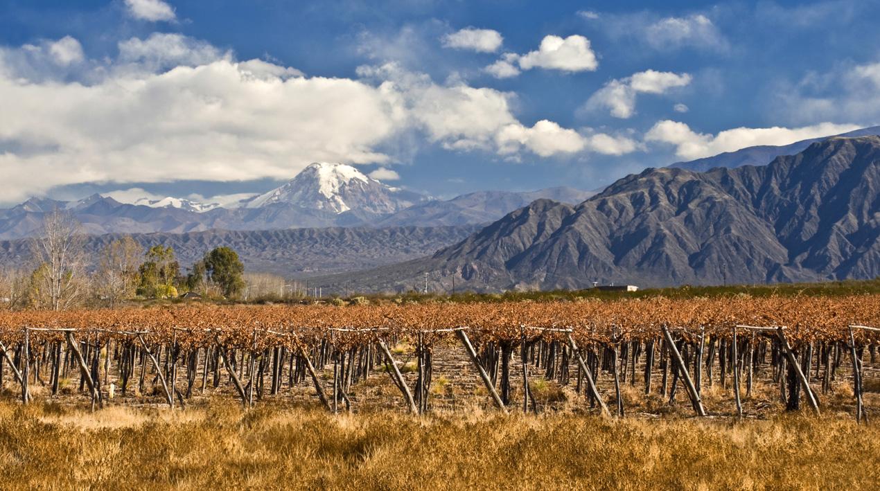 Photo of Mendoza, Argentina with vineyards and mountains in the background